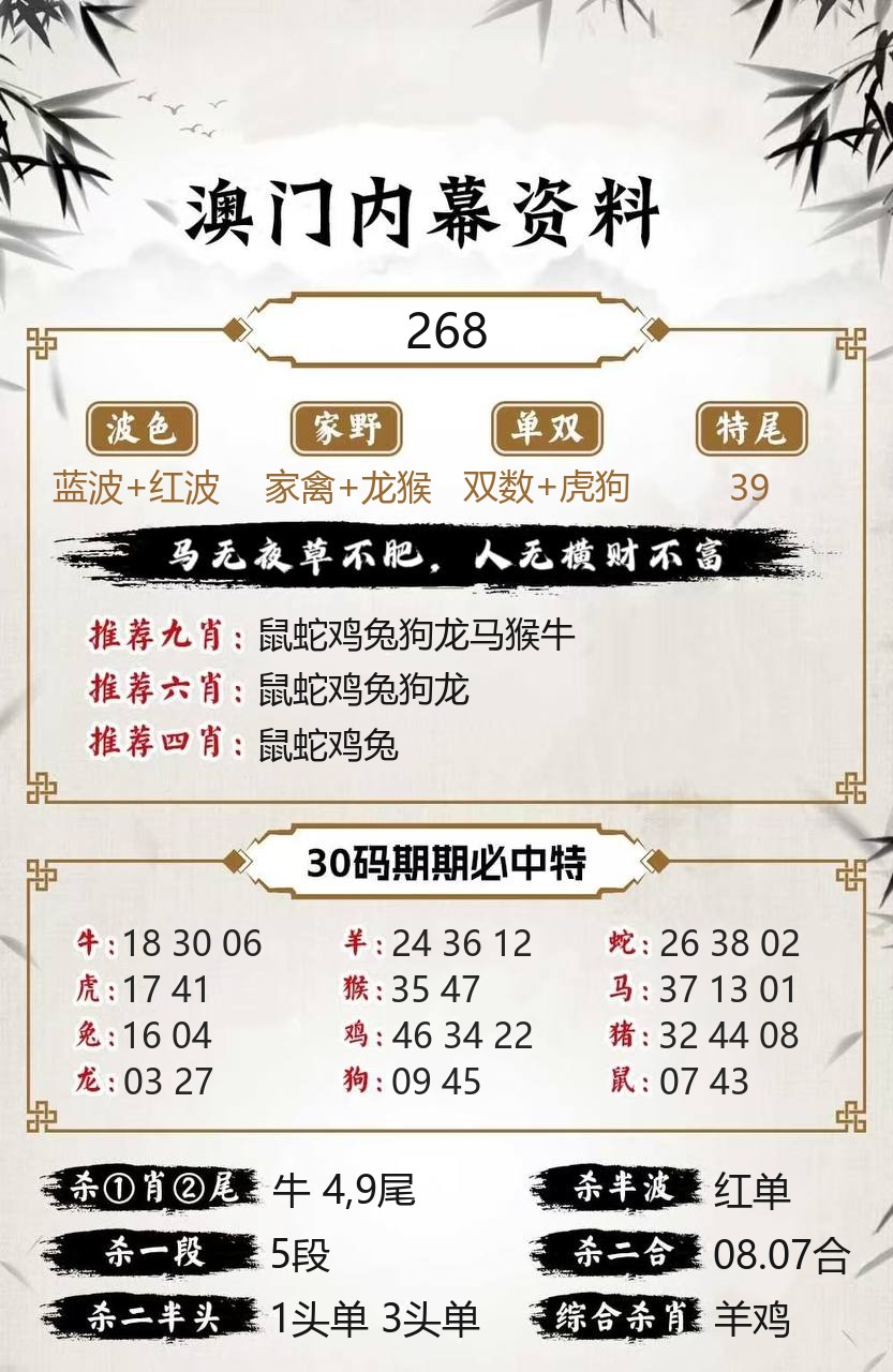 新新彩内幕资料模板